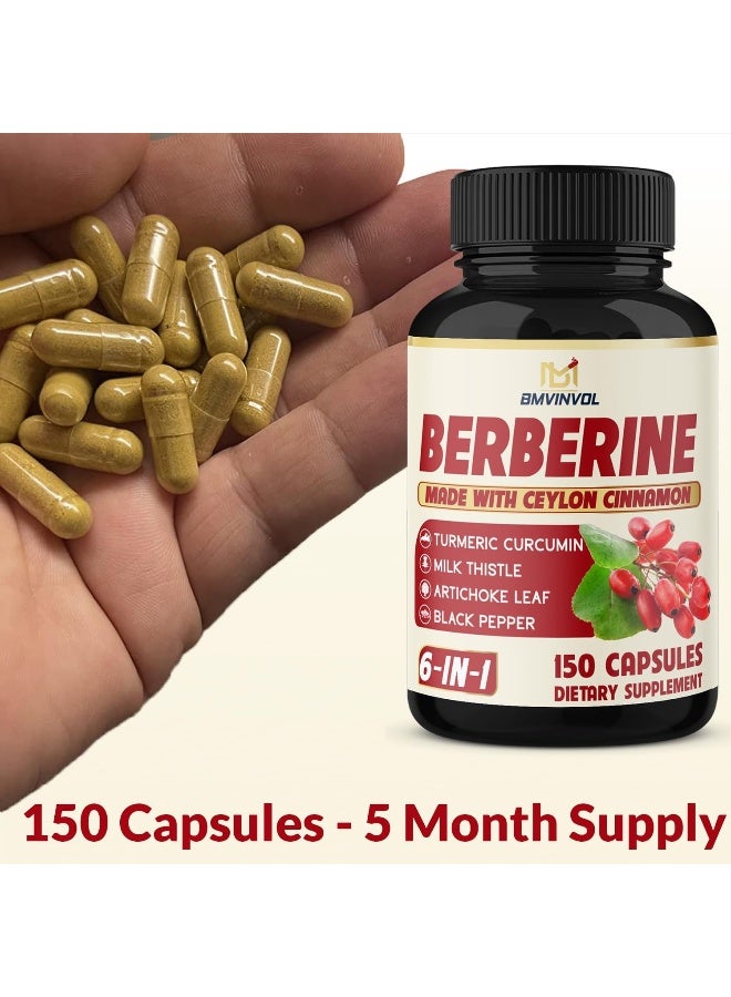 BMVINVOL Berberine Supplement Equivalent to 4700mg - 5 Months Supply - High Potency with Ceylon Cinnamon - Supports Immune System, Cardiovascular & Gastrointestinal Function - Berberine HCl Supplement Pills - Image 3